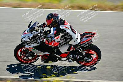 media/May-10-2024-2WTD (Fri) [[c88d7990af]]/Group C/Session 2-The Bowl/